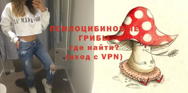 гидропоника Магас