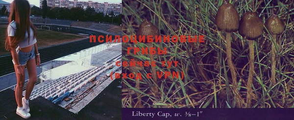 гидропоника Магас
