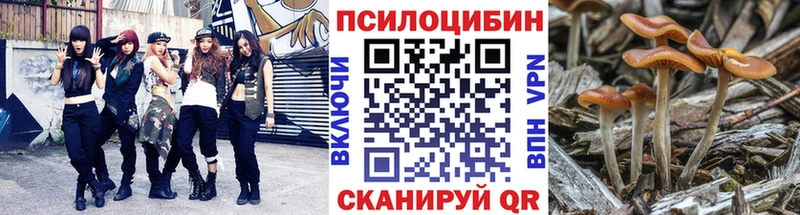 Галлюциногенные грибы Magic Shrooms  купить   Нижнекамск 