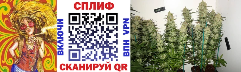 Конопля Bruce Banner  Нижнекамск 